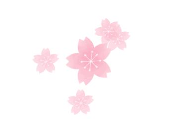 余生不长善待自己,余生不长要学会拒绝