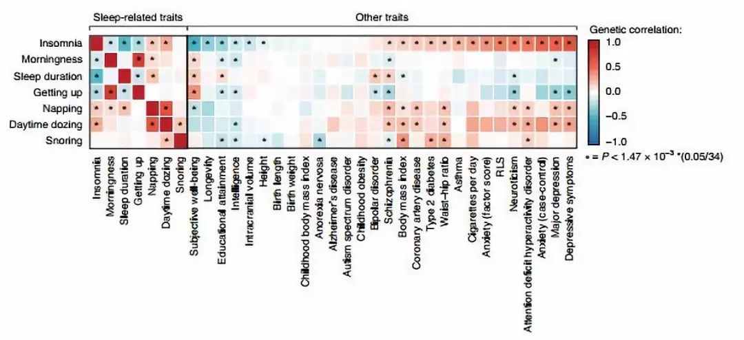 失眠研究,失眠最新科学突破视频