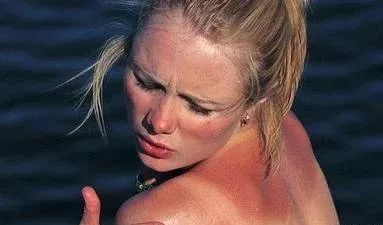 英国皇室伞,英国皇室御用伞