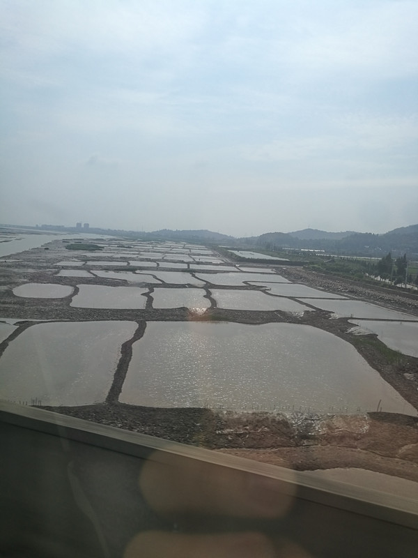 厦门三日游美食推荐,厦门海边美食推荐