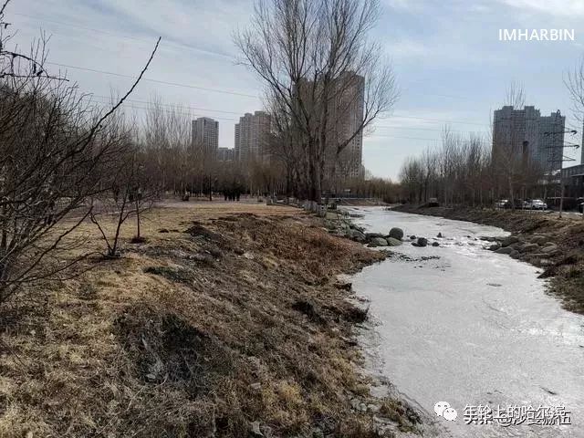 哈尔滨杨马架子前世今生,尘封的往事完整视频