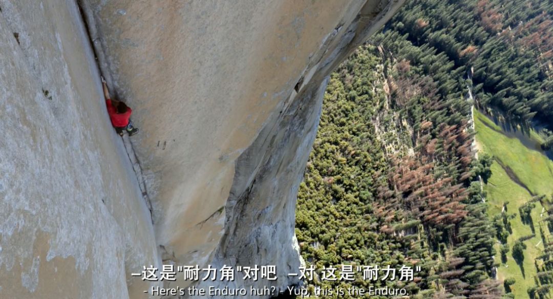 值得一看的豆瓣9.0,豆瓣9.9以上评分