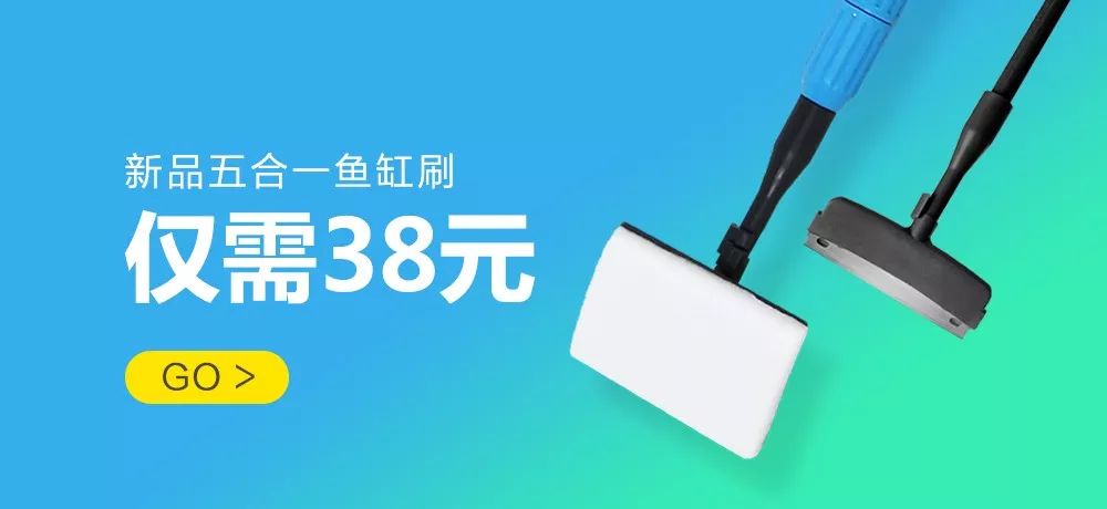 海缸珊瑚的饲养,海缸新手入门详细教程及注意事项