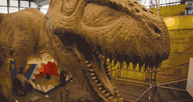 新店开业10w人围观,开业典礼1万人围观