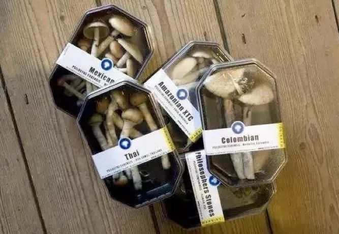 警惕新型毒品家长评价,家长警惕新毒品