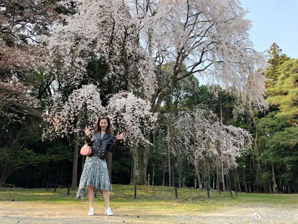 江疏影穿搭日常,照片中的江疏影身穿拼接格子衬衫