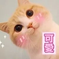 “宝藏”男孩江工登场！单招的小伙伴们快来报名发掘吧！