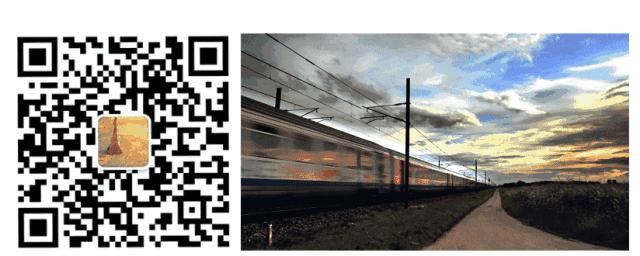 养十几只狗狗博主,网红养小土狗日常