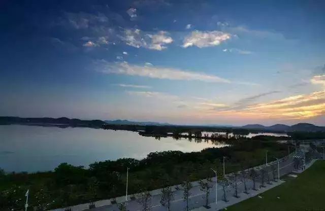 武汉六大湿地公园,百湖之市武汉