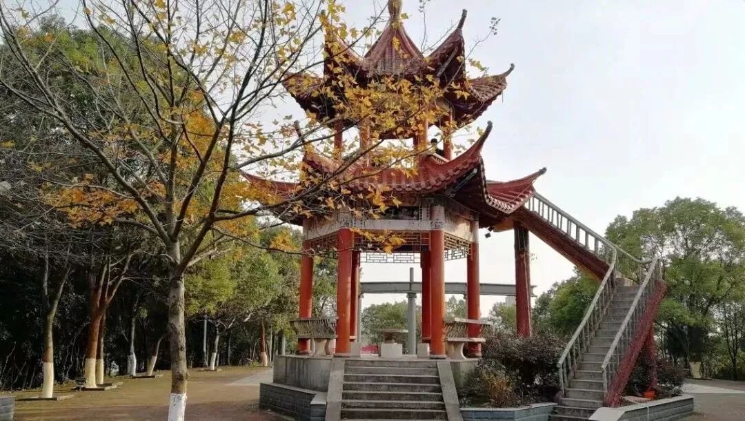 四海学子,四海学子齐祝福