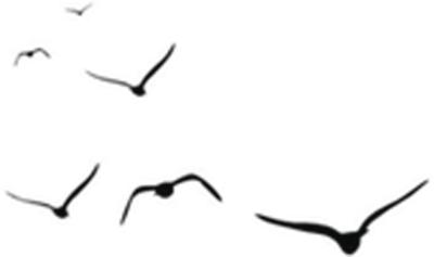 免费试住！速来撞进“青”凉时光！绝色山海之间，一家质感满分的有戏酒店，打算邀你来净化生活负能量