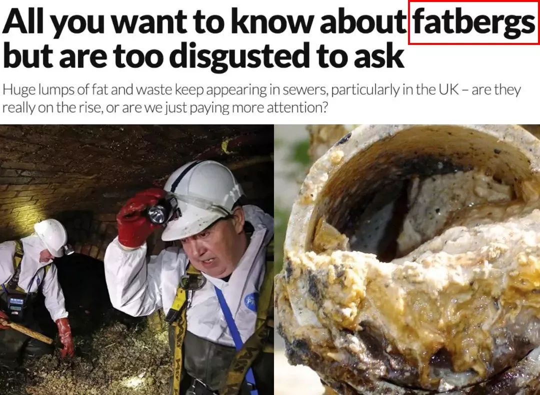 别再把炒菜废油倒水池了！后果很恐怖