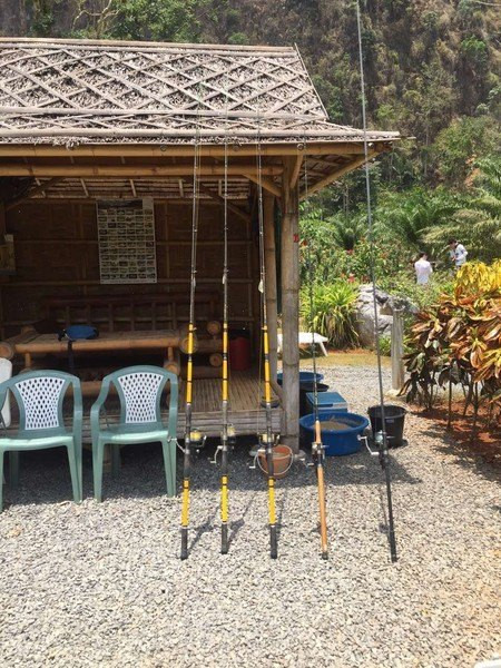 泰国艾克索公园巨物钓场,泰国巨物池钓鱼费用