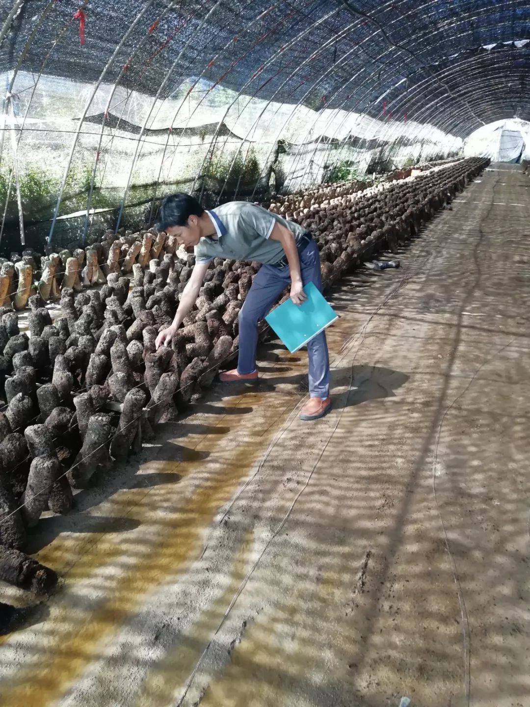 从农村出来的科学家,从乡村走出来的科学家