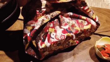 初春的西影厂，是那棵法国梧桐树下的日料店