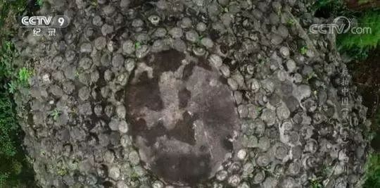 兰州到重庆绿巨人动车组,兰州到甘谷绿巨人通车最新时间