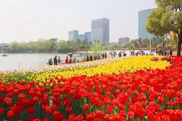 上海人春天爱吃的美食,春天上海最好吃的东西