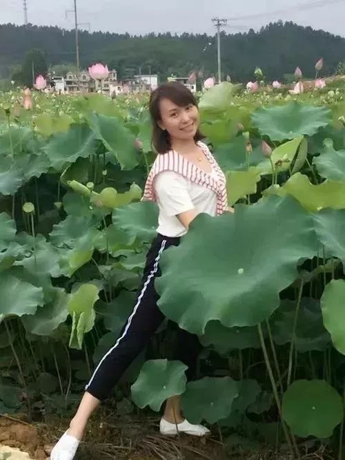 夜读安然完整版,夜读安然