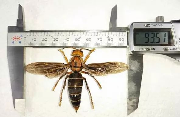 省级合作社拟推荐名单公示,四川十大农民专业合作社