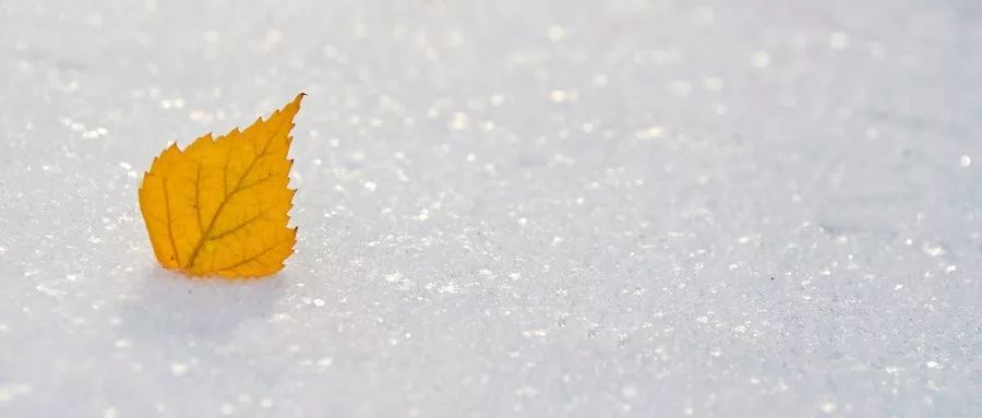 “我去死一死，大家别担心”|一起赶跑抑郁