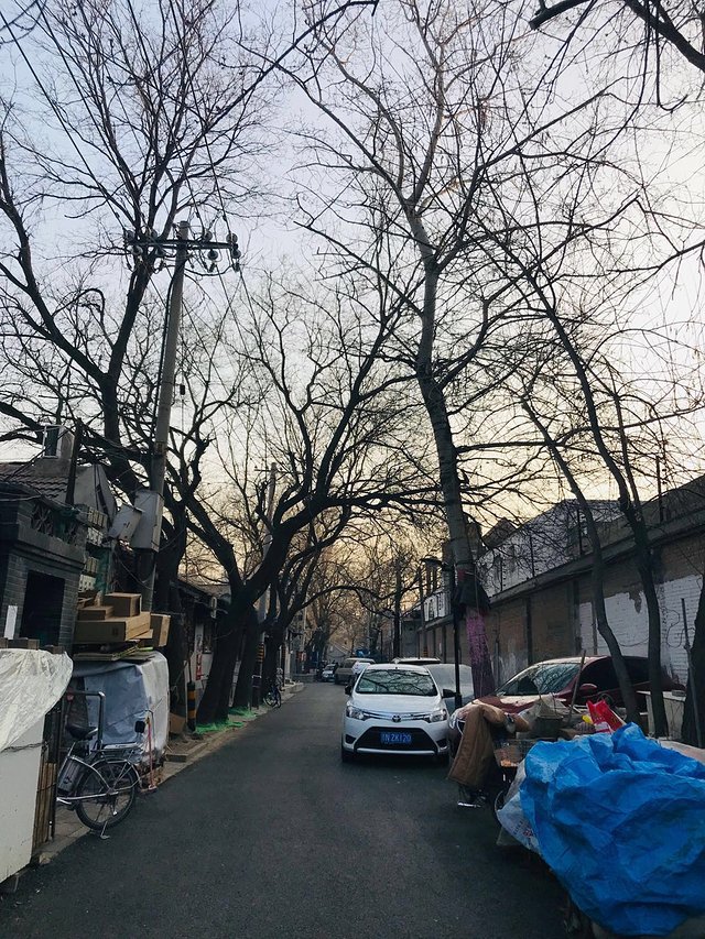 去北京来场说走就走的旅行,开启一路向北的旅行