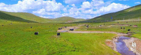 航拍四川雅江山,四川雅江县城全景视频