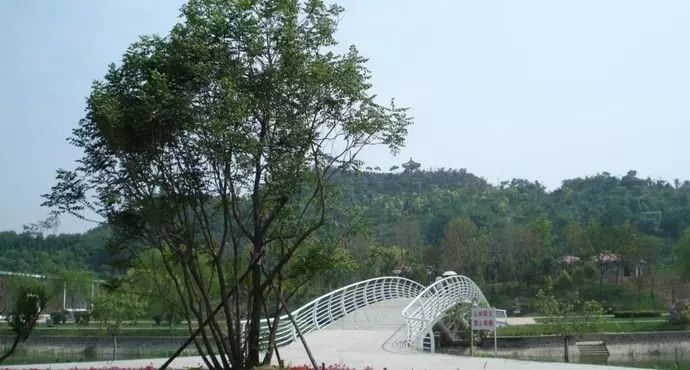 三月踏青季旅行指南,春日踏青游玩攻略