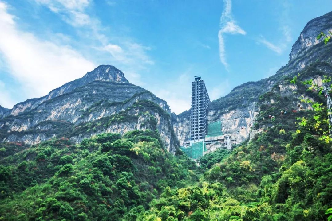 “三八”节，女神们快来领这些专属福利哦