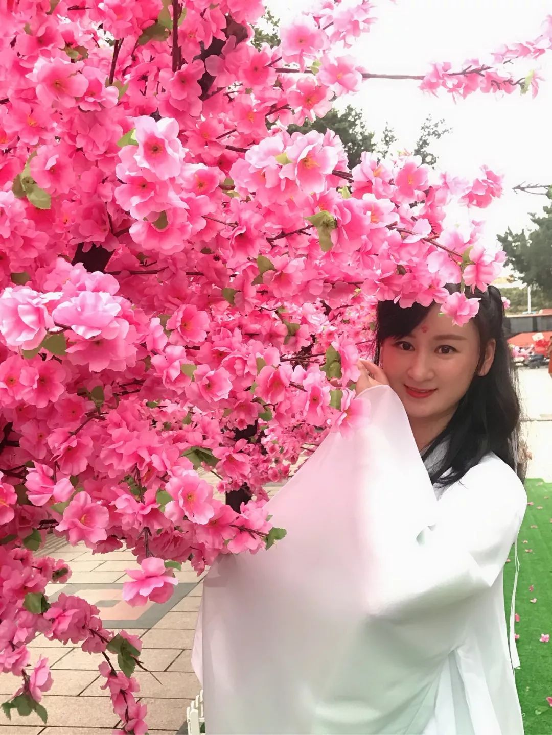 玉林网红打卡点格桑花景区,玉林打卡网红地古镇