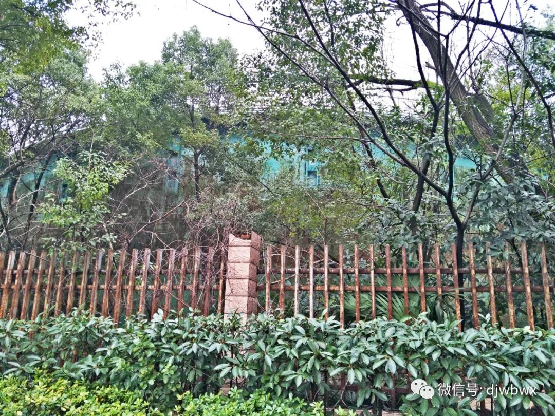 【早安·芜湖】银湖路上的“煤气包”何时拆？