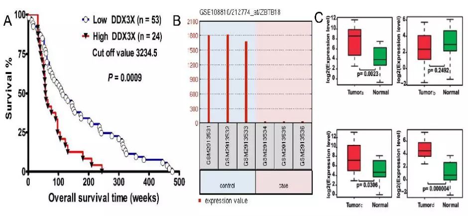 怎么把文献里的图表弄出来编辑,看文献有看不懂的图表怎么办