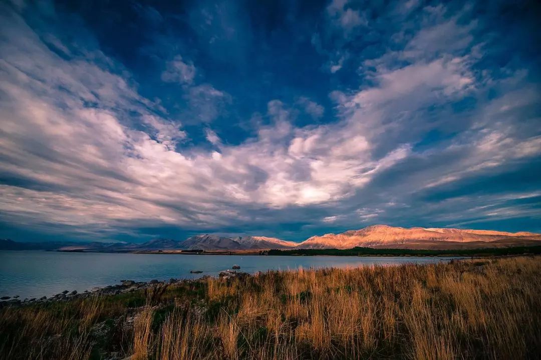 女神节花海一日游,女神节桃源一日游活动
