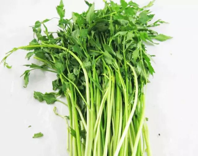 宿州野菜,挖野菜的视频火了