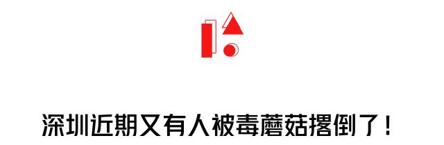 2017毒蘑菇中毒指南,广东进入毒蘑菇高发季节