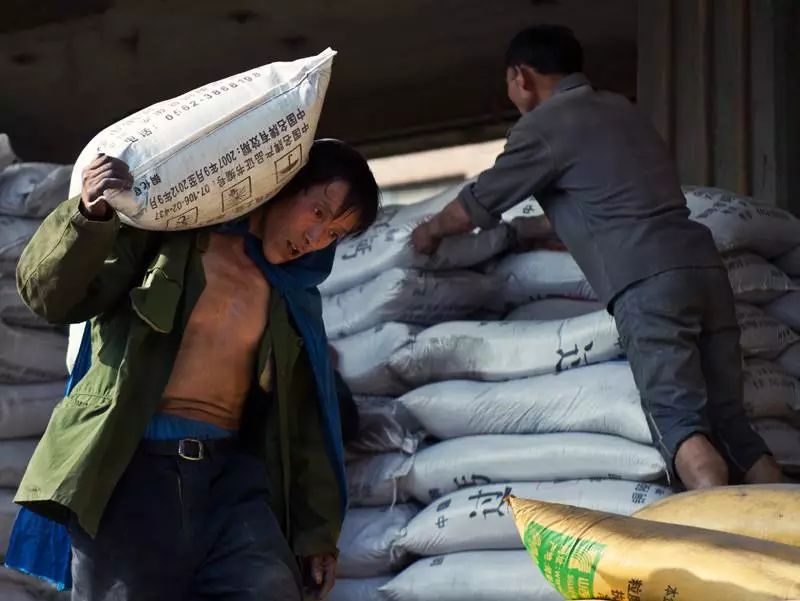 香港最美搬运工罗拉,罗拉是最美搬运工吗