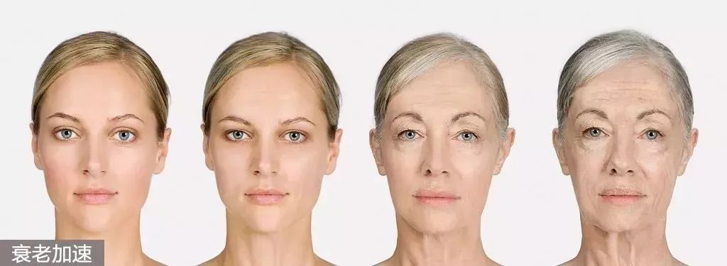 早上空腹吃它是“百补之王”补肝强肾、延年益寿,现在知道还不晚……