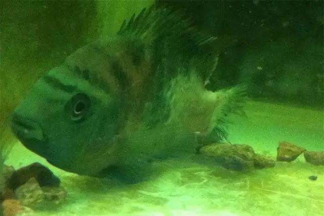 经验教训方面的收获,经验教训案例