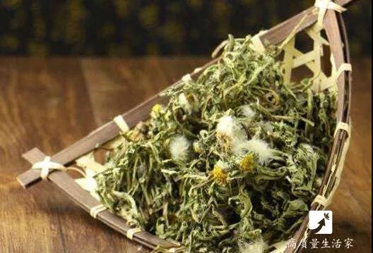 春天里要吃的四大黄金野菜,春天不可辜负的六种野菜