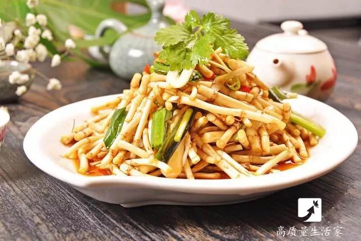 春天里要吃的四大黄金野菜,春天不可辜负的六种野菜