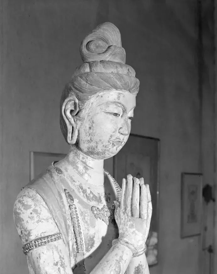 比斯坦因更残酷的*物文**盗贼-华尔纳