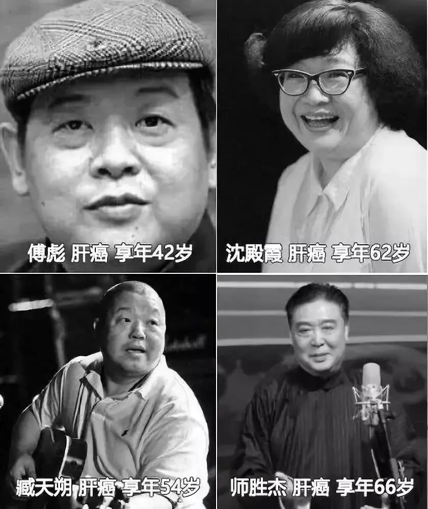 小心肝护肝茶有用吗,小心肝茶叶是什么茶