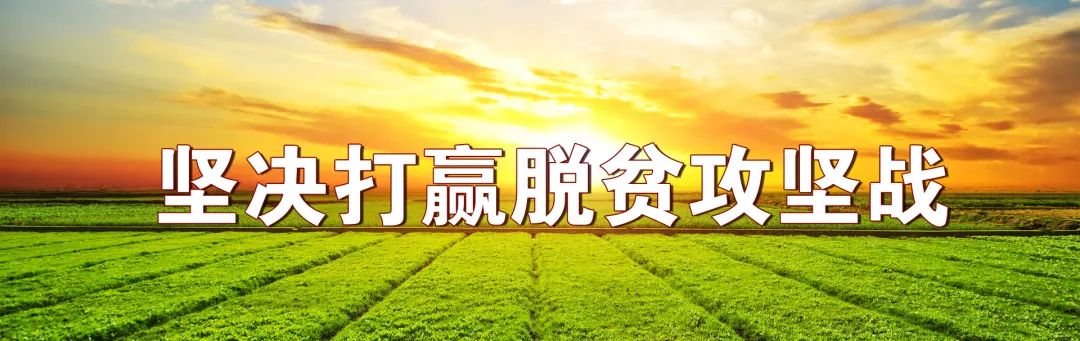 凉山彝族自治州索玛花开,索玛花开脱贫