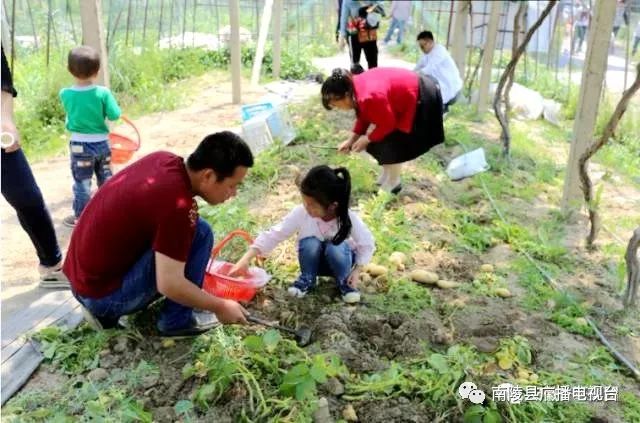 鏄ユ父鍗楅櫟寮嬫睙鍙ら晣瀵诲懗涔嬫梾,鑺滄箹鍗楅櫟鏄ユ父鏀荤暐