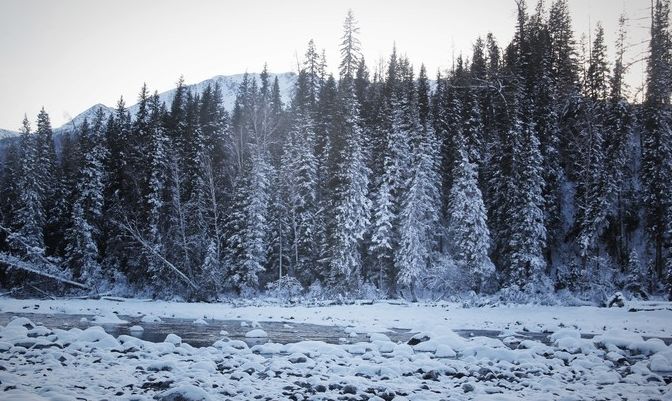 疆内铁路年内第八次调整,新疆铁路4月10日零时起调图