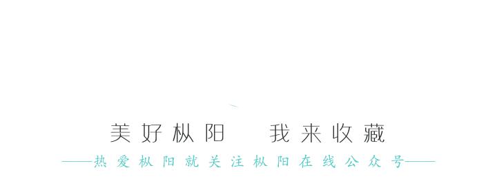 2019枞阳中学光荣榜,铜陵枞阳光荣榜