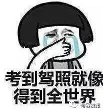 整顿规范驾培市场秩序的通知,非法驾培点整治