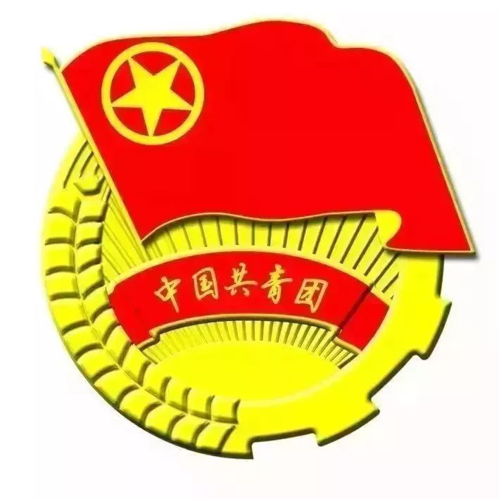 广州市共青团少先队,从化共青团