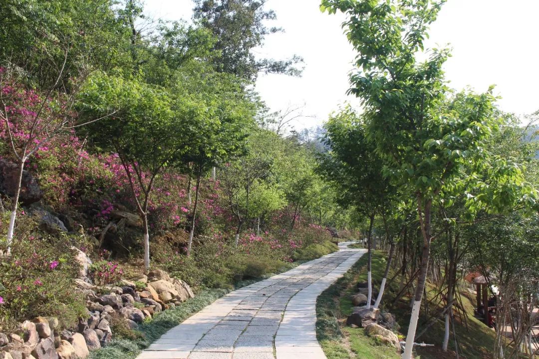 适合踏春的景点厦门,厦门春季旅游攻略