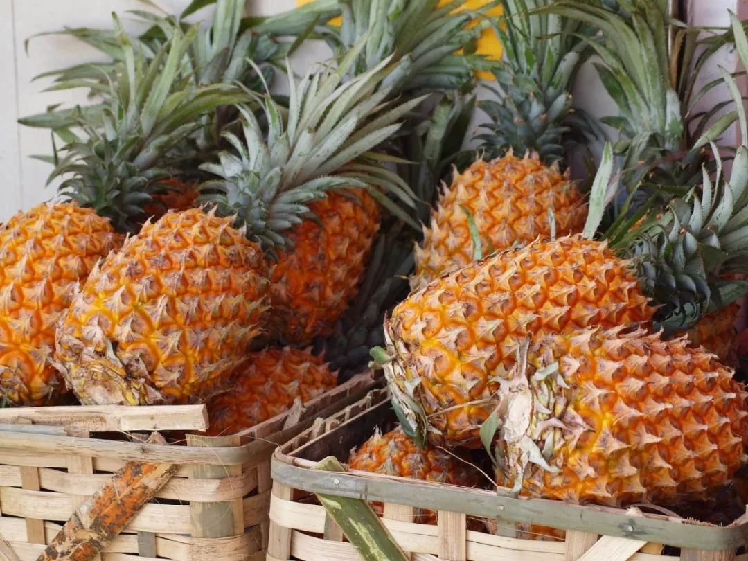 现在正是吃菠萝的季节,当下正值吃菠萝的季节