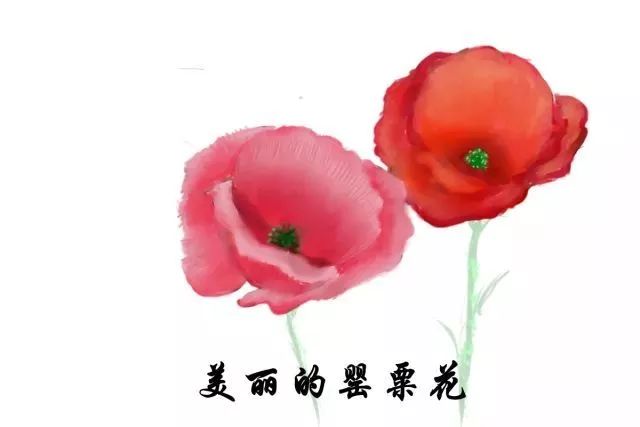 漫谈漫说,漫说禁毒漫画